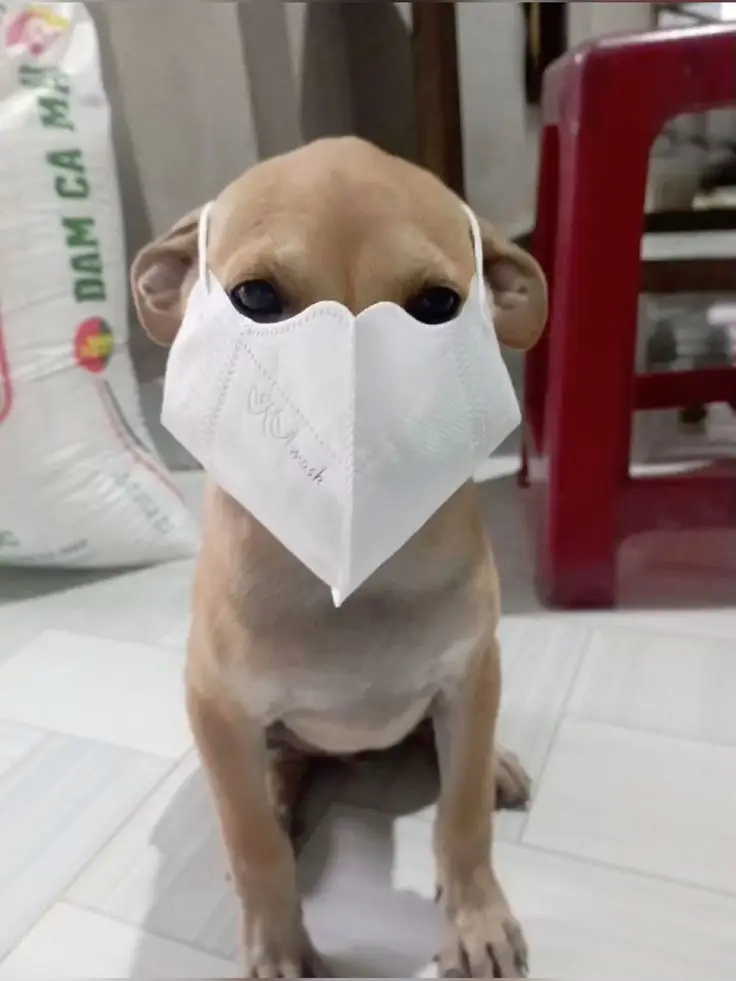 Ảnh gái mặc đồ ngủ - Thoải mái và dễ thương 58
