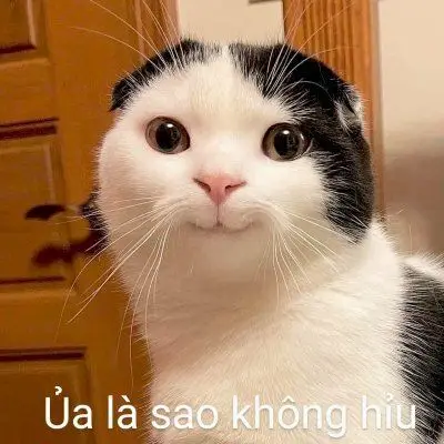 Ảnh Làm Hình Nền Facebook: Bộ Sưu Tập Hình Ảnh Được Yêu Thích 31
