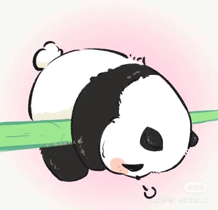 65 ảnh avatar gấu trúc cute chibi cho bạn 9
