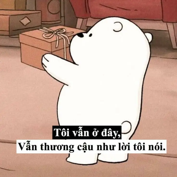 50 hình ảnh avatar chúng tôi đơn giản là gấu 74