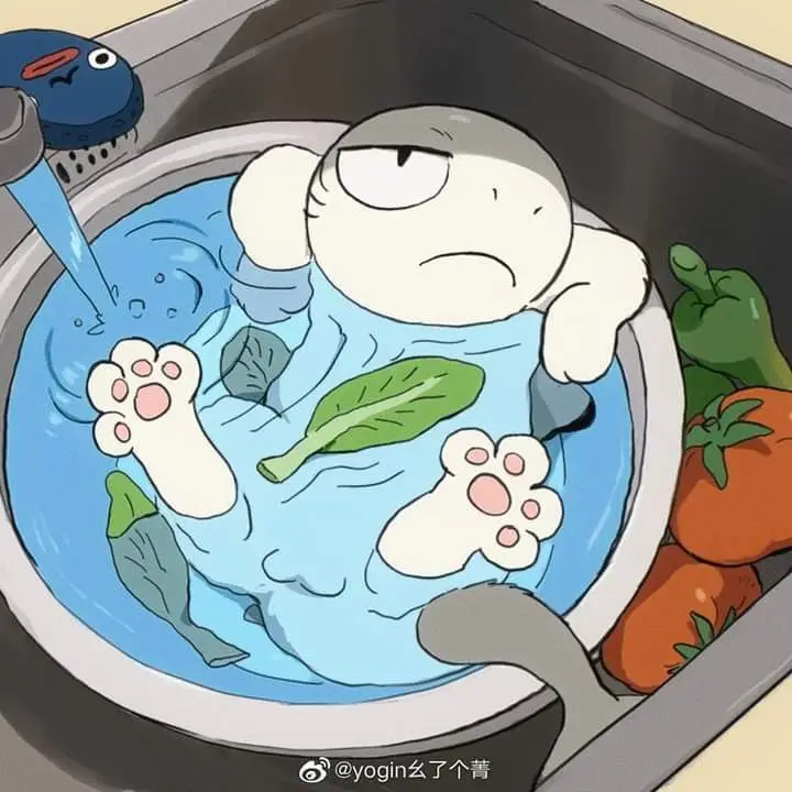 Avatar cute mèo chibi mập, đáng yêu và dễ thương nhất 38