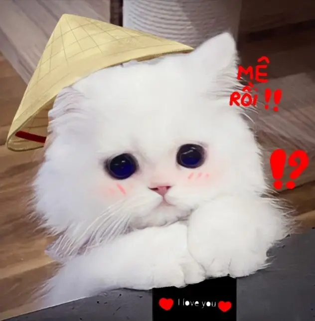 Avatar cute mèo chibi mập, đáng yêu và dễ thương nhất 70