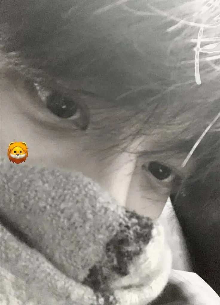 Top Ảnh Avatar Đẹp Cho Nam Cute 5