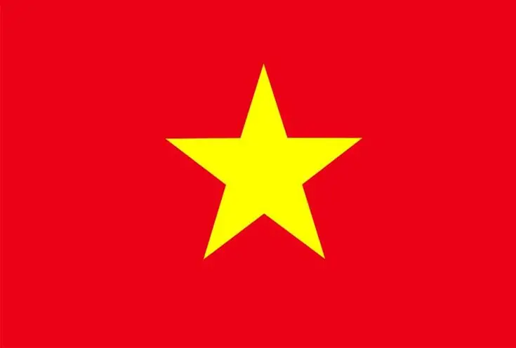 Avatar Hình Nền Cờ Việt Nam Full HD Nổi Bật 5