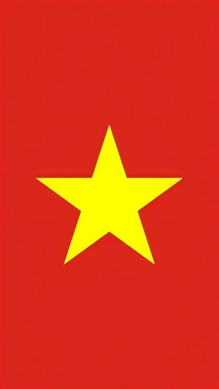 Avatar Hình Nền Cờ Việt Nam Full HD Nổi Bật 7