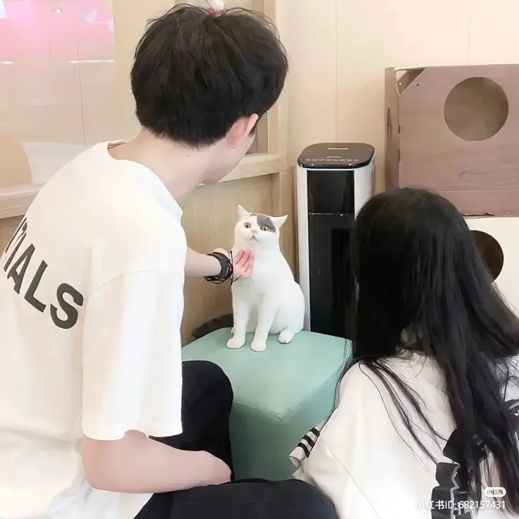 Hình ảnh avatar đôi mèo đánh nhau cực dễ thương 44