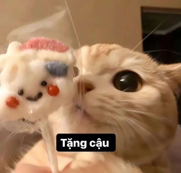Avatar Cute với Hình Ảnh Mèo 65
