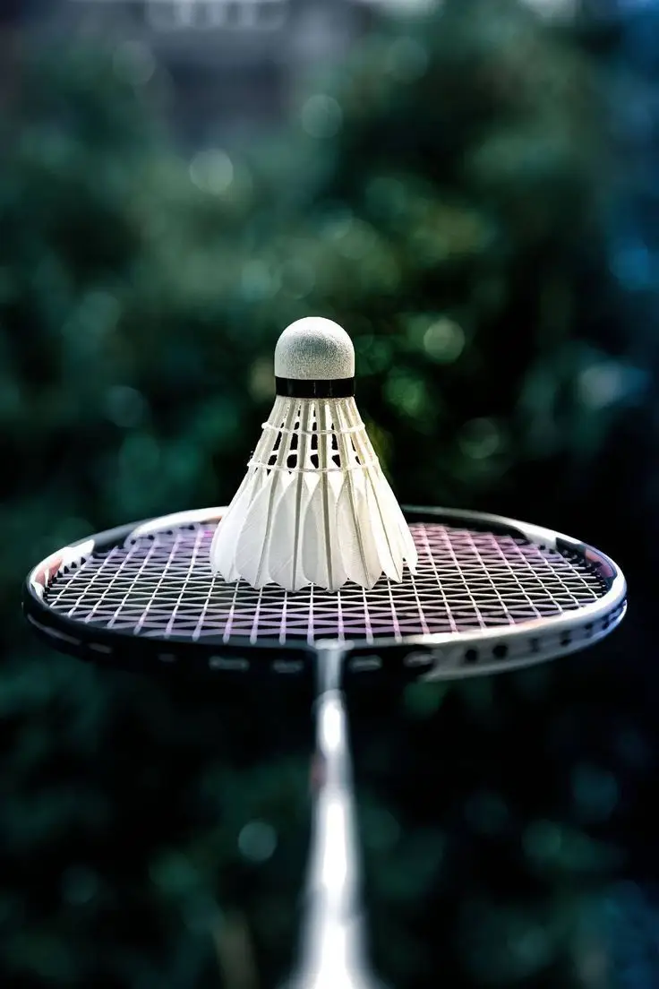 Hình nền badminton – Những hình ảnh cầu lông tuyệt đẹp cho người yêu thể thao 14