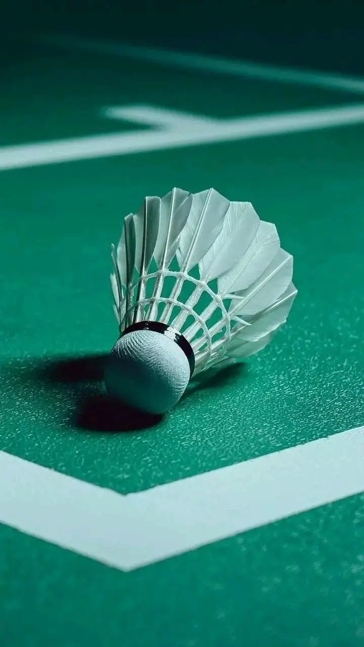 Hình nền badminton – Những hình ảnh cầu lông tuyệt đẹp cho người yêu thể thao 15