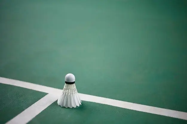 Hình nền badminton – Những hình ảnh cầu lông tuyệt đẹp cho người yêu thể thao 17