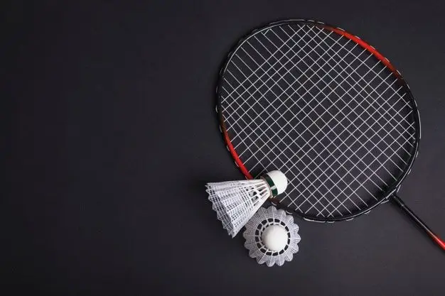 Hình nền badminton – Những hình ảnh cầu lông tuyệt đẹp cho người yêu thể thao 18