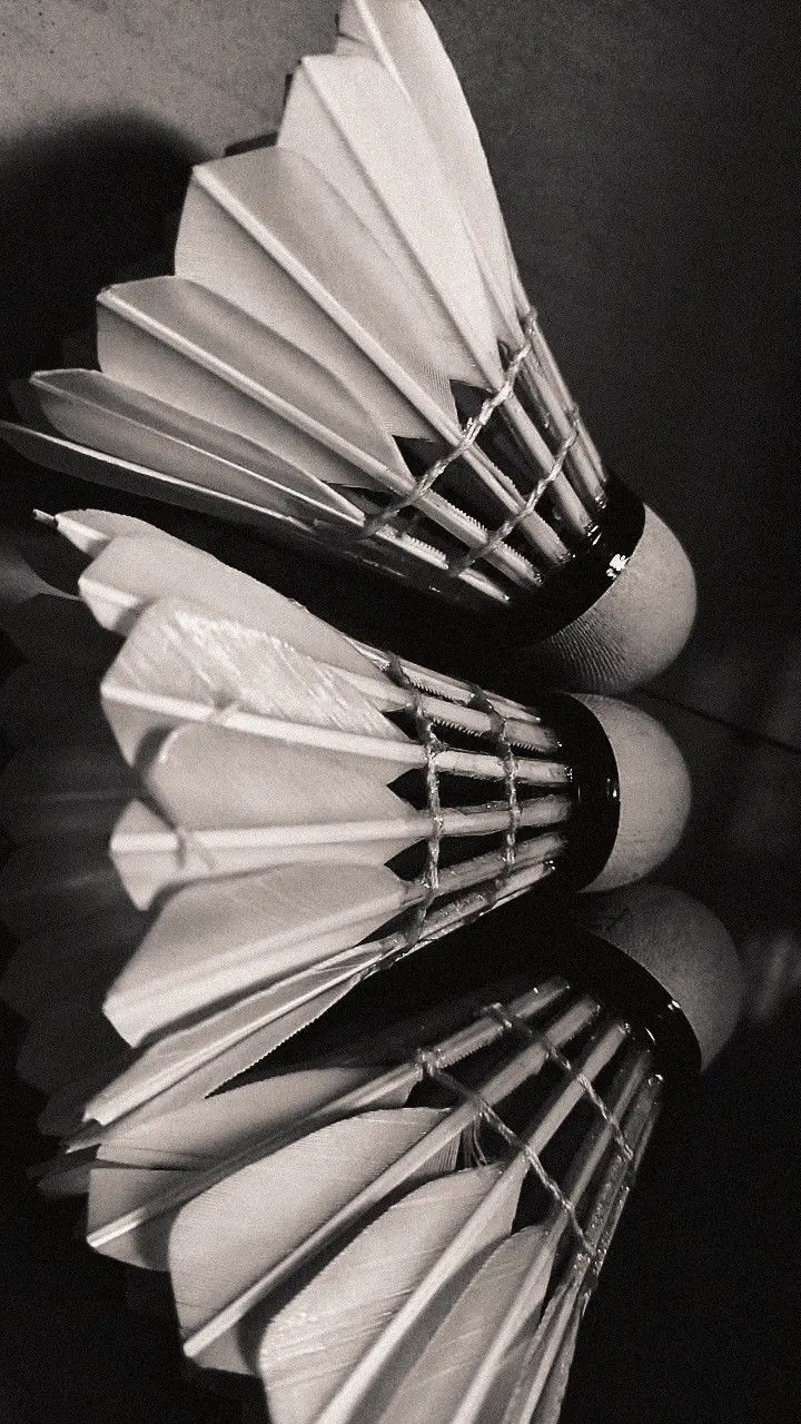 Hình nền badminton – Những hình ảnh cầu lông tuyệt đẹp cho người yêu thể thao 34