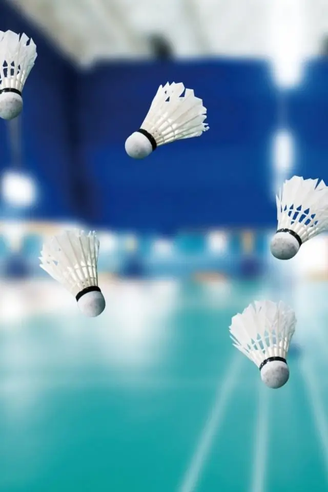 Hình nền badminton – Những hình ảnh cầu lông tuyệt đẹp cho người yêu thể thao 40