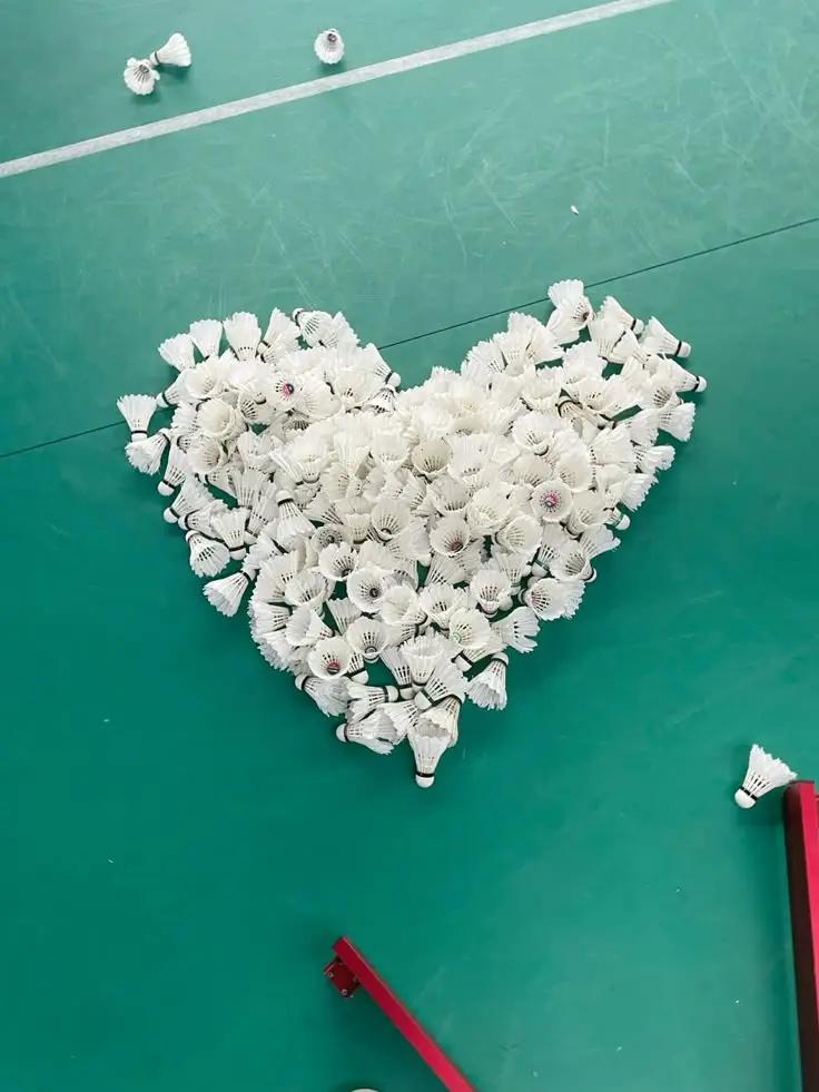 Hình nền badminton – Những hình ảnh cầu lông tuyệt đẹp cho người yêu thể thao 45