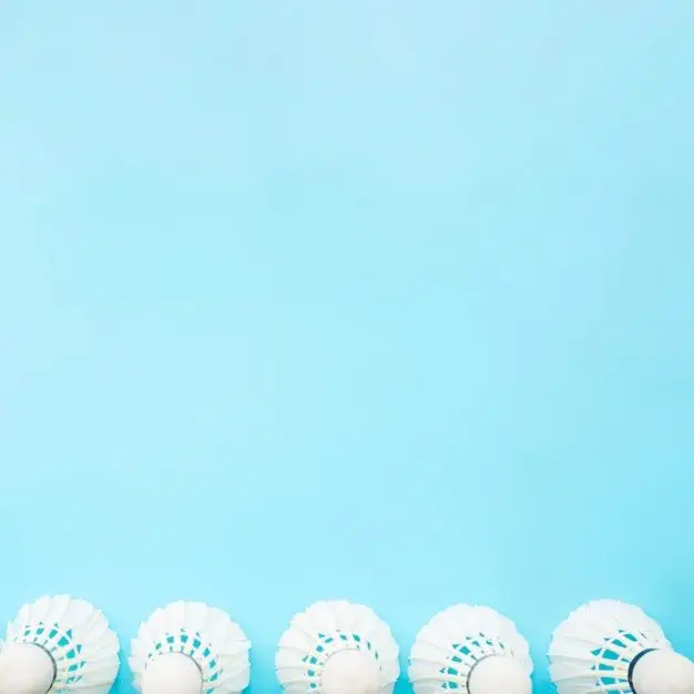 Hình nền badminton – Những hình ảnh cầu lông tuyệt đẹp cho người yêu thể thao 50