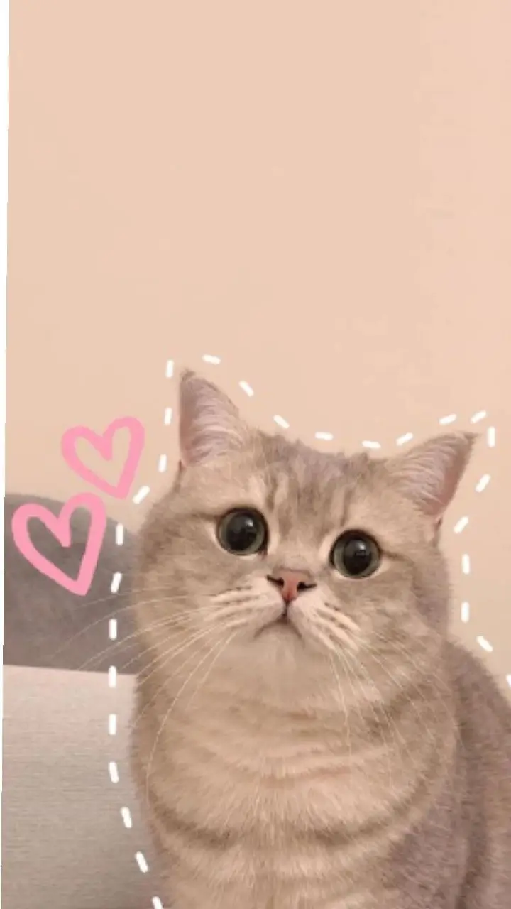 Hình Nền Dễ Thương Cute Cho Máy Tính 27