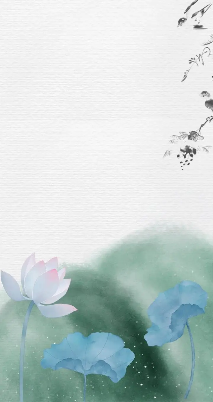 Hình nền bông sen trắng thanh khiết và trang nhã 24