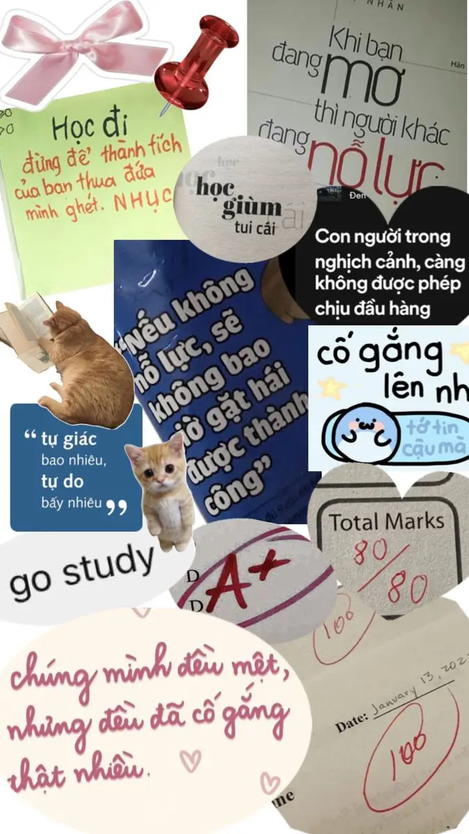 Bộ sưu tập hình nền cầu lông đẹp mắt 29