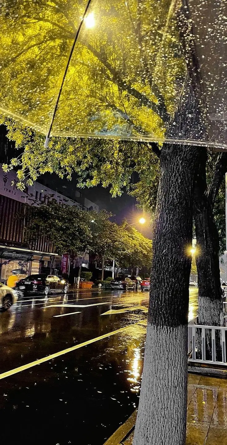 Hình Nền Chill 4K Điện Thoại - Khám Phá Bộ Sưu Tập Ảnh Thư Giãn 35