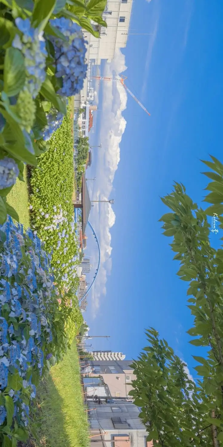 Hình nền chill phong cảnh thư giãn 29