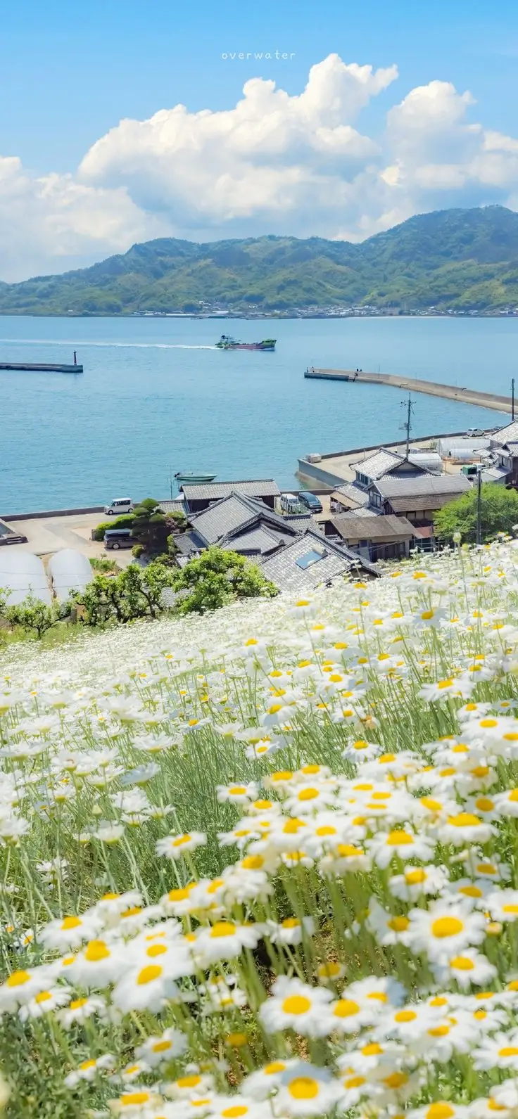 Hình nền chill phong cảnh thư giãn 51
