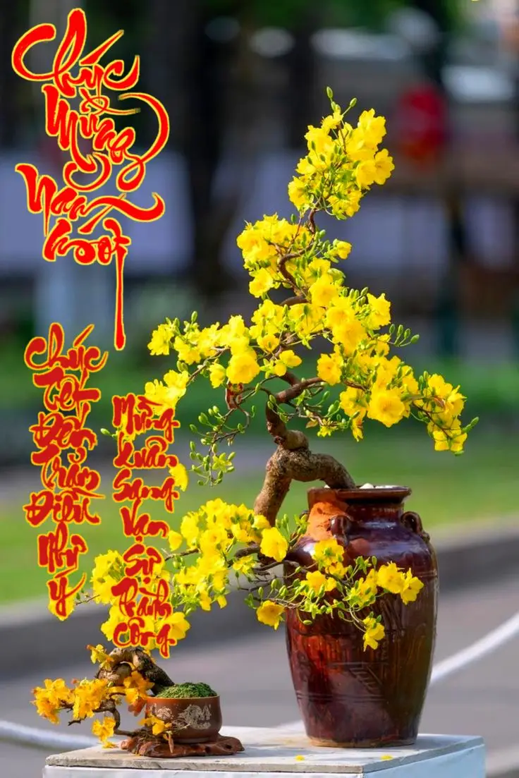 Hình nền chúc mừng năm mới tươi vui 53
