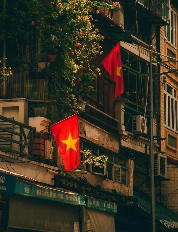 Hình nền cờ Việt Nam – Tôn vinh tinh thần dân tộc với bộ sưu tập ảnh đẹp 33