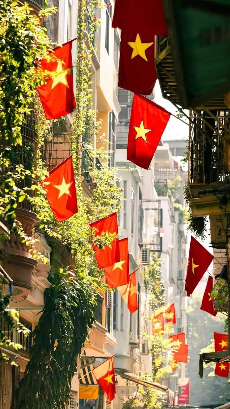 Hình nền cờ Việt Nam cho điện thoại thể hiện tự hào dân tộc 12