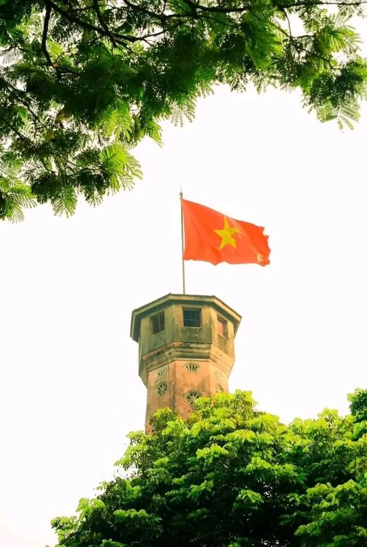 Hình nền cờ Việt Nam cho điện thoại thể hiện tự hào dân tộc 51