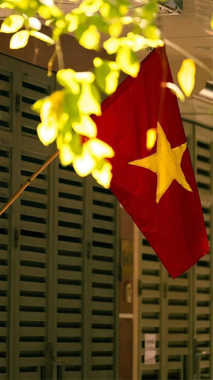Hình nền cờ Việt Nam cho điện thoại thể hiện tự hào dân tộc 59
