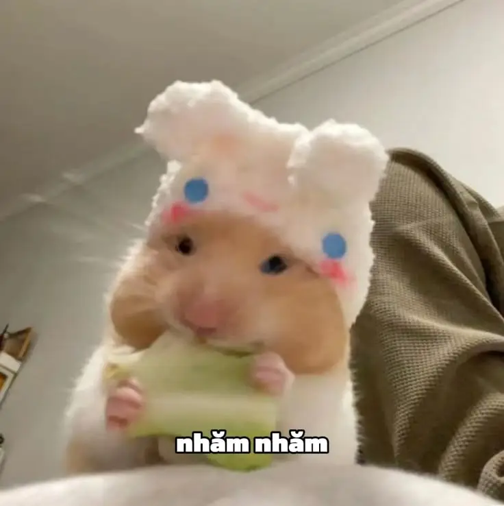 Hình nền con chuột cute dễ thương cho mọi lứa tuổi 11