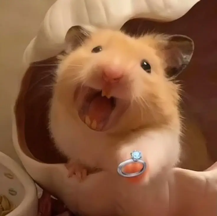 Hình nền con chuột cute dễ thương cho mọi lứa tuổi 26