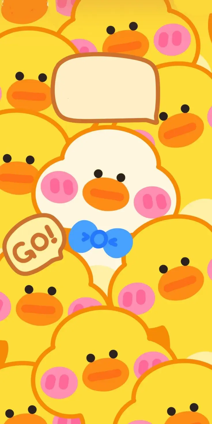 Hình nền con vịt cute - Bộ sưu tập hình nền dễ thương với hình ảnh con vịt 15