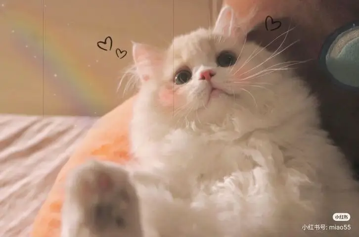 Hình nền dễ thương ảnh mây cute - Thế giới bầu trời trong lành 33