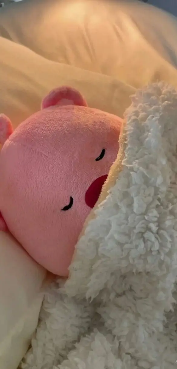 Hình nền gấu bông cute dễ thương cho điện thoại 31