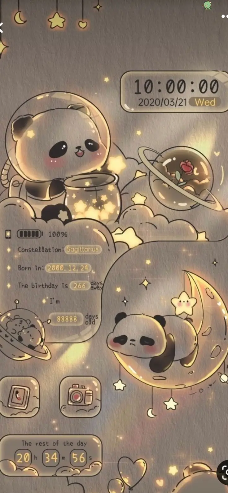 Hình nền gấu trúc cute đáng yêu 12