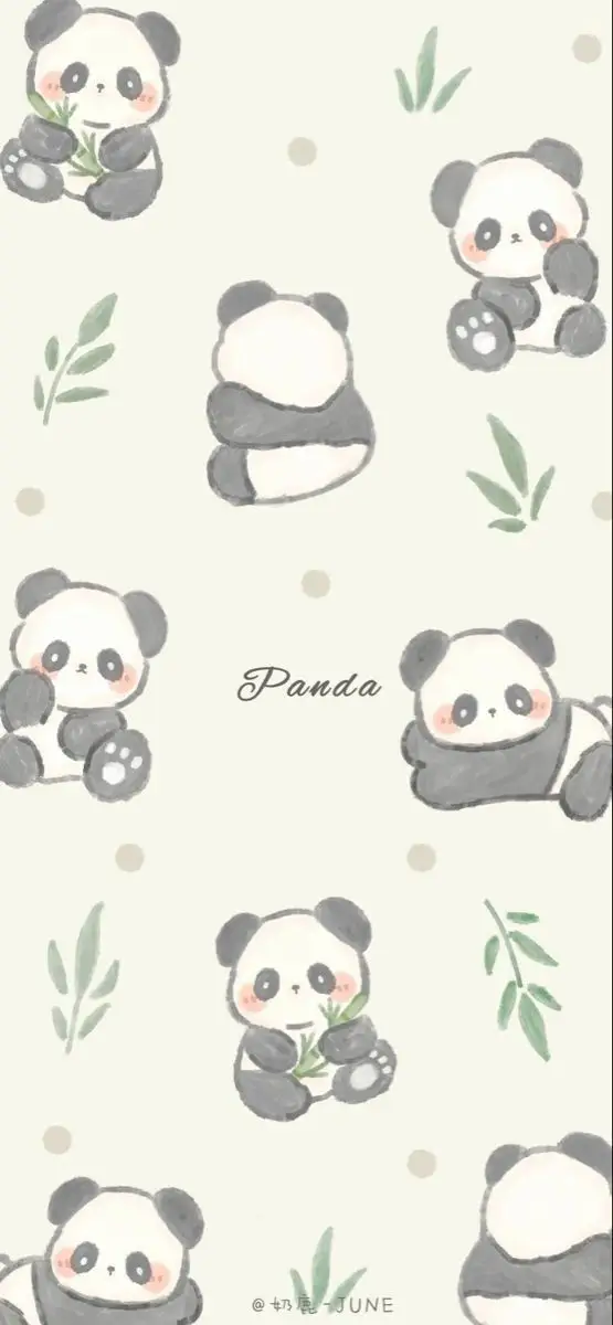 Hình nền gấu trúc cute đáng yêu 31