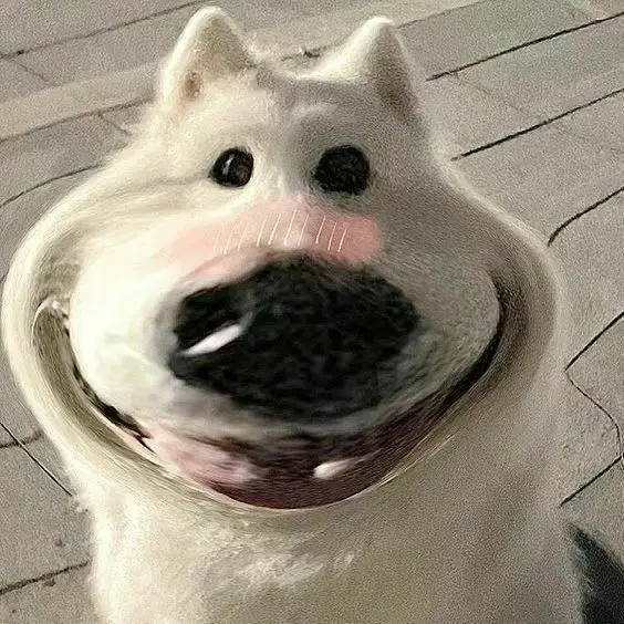 Hình Nền Hài Hước Cute Đem Lại Niềm Vui 3