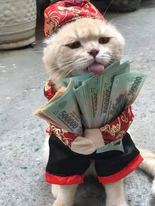 Hình Nền Hài Hước Cute Đem Lại Niềm Vui 17