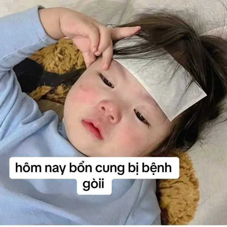 Hình Nền Hài Hước Cute Đem Lại Niềm Vui 50