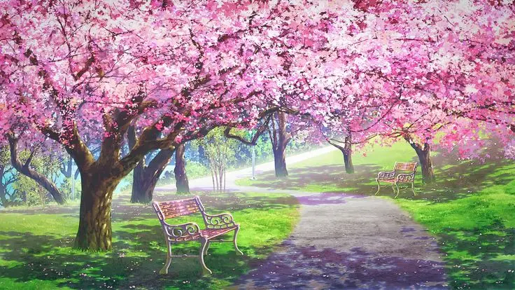 Hình nền hoa anh đào anime tuyệt đẹp cho máy tính 3