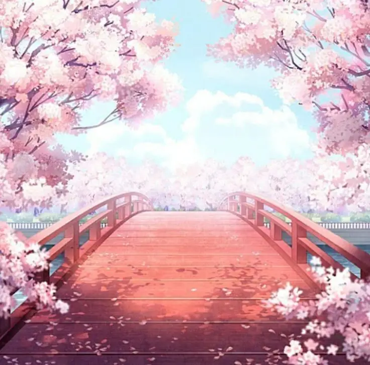Hình nền hoa anh đào anime tuyệt đẹp cho máy tính 15