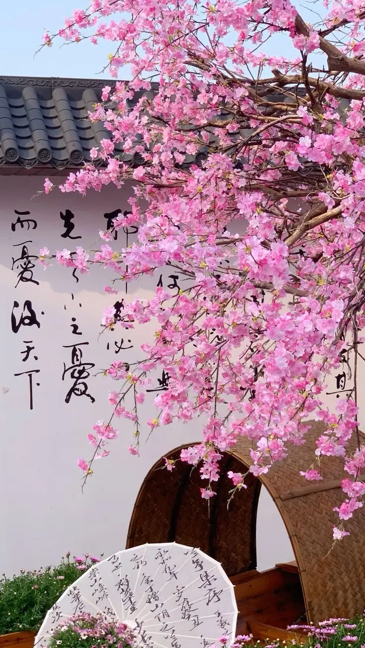 Hình nền hoa anh đào anime tuyệt đẹp cho máy tính 21