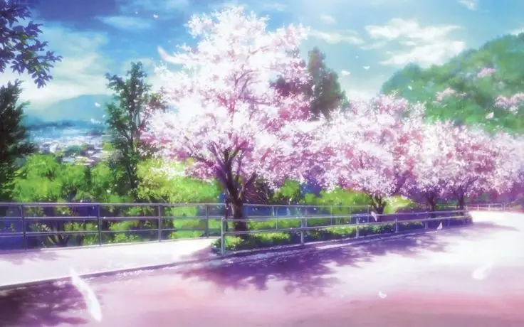 Hình nền hoa anh đào anime tuyệt đẹp cho máy tính 31