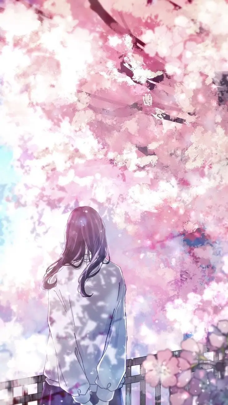 Hình nền hoa anh đào anime tuyệt đẹp cho máy tính 48