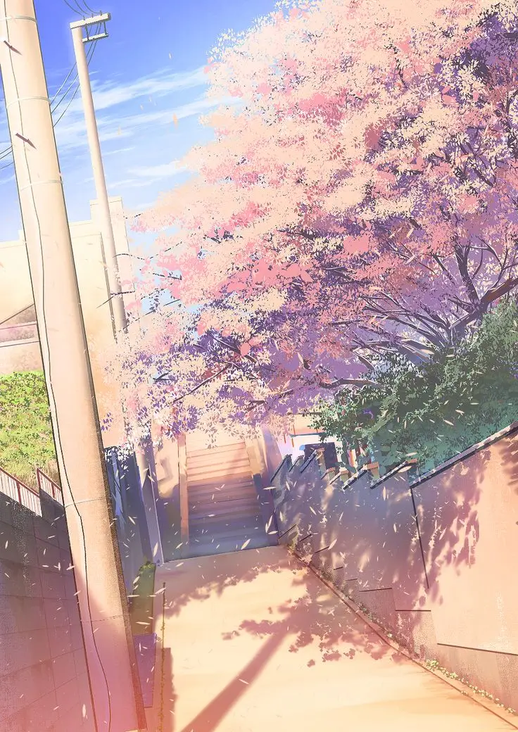 Hình nền hoa anh đào anime tuyệt đẹp cho máy tính 49