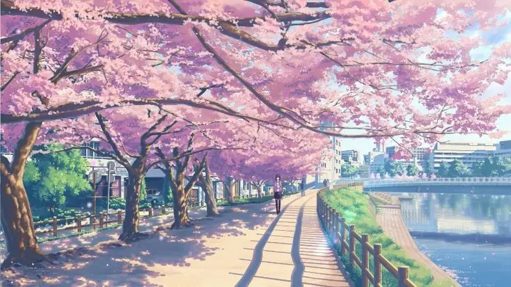 Hình nền hoa anh đào anime tuyệt đẹp cho máy tính 53