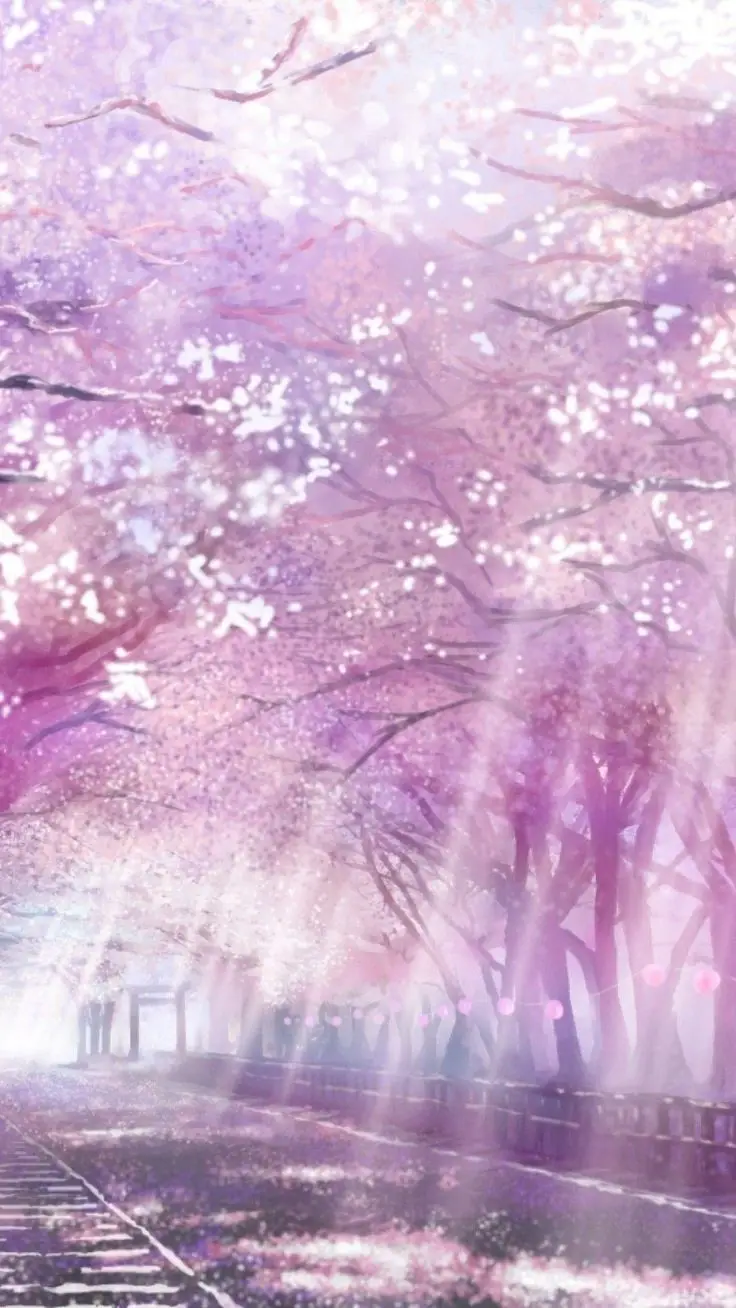 Hình nền hoa anh đào anime tuyệt đẹp cho máy tính 59