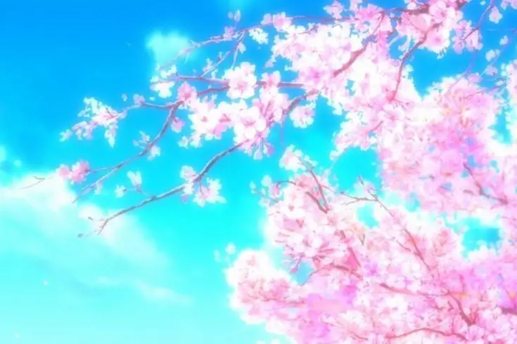 Hình nền hoa anh đào anime tuyệt đẹp cho máy tính 61