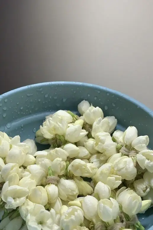 Hình nền hoa nhài đẹp cho không gian sống 40